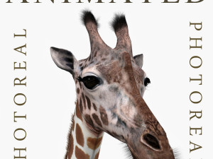 photoreal hd giraffe Modelo 3D