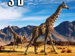 photoreal hd giraffe Model 3D