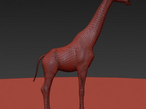 photoreal hd giraffe Model 3D