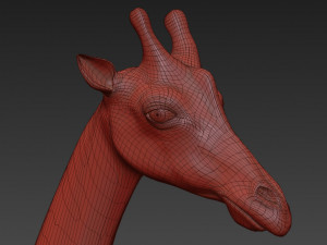photoreal hd giraffe Model 3D