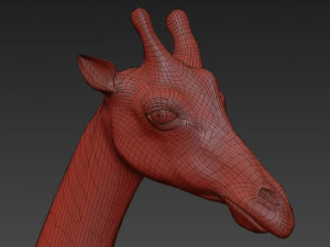 photoreal hd giraffe 3D Model