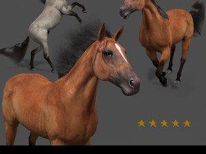 ultimate horse collection 3D Model
