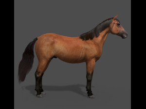 ultimate horse collection Modello 3D