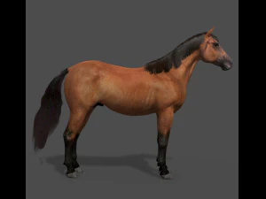 collezione di cavalli definitiva Modello 3D