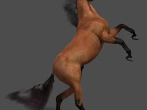 collezione di cavalli definitiva Modello 3D