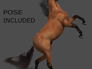 ultimate horse collection Modello 3D