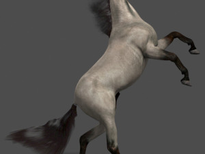 ultimate horse collection Modello 3D