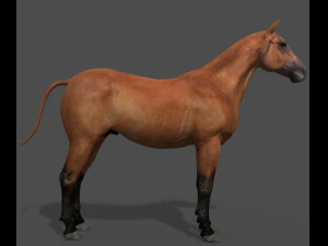 collezione di cavalli definitiva Modello 3D