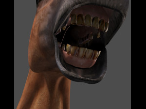 ultimate horse collection Modello 3D