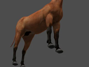 collezione di cavalli definitiva Modello 3D