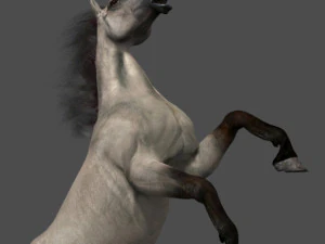 collezione di cavalli definitiva Modello 3D