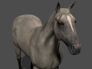 collezione di cavalli definitiva Modello 3D