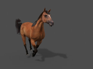 ultimate horse collection Modello 3D