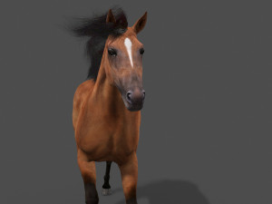 ultimate horse collection Modello 3D