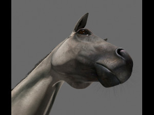 ultimate horse collection Modello 3D