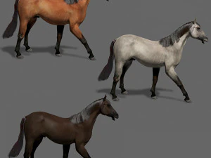 collezione di cavalli definitiva Modello 3D