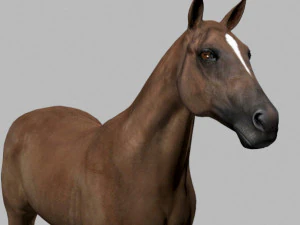 collezione di cavalli definitiva Modello 3D