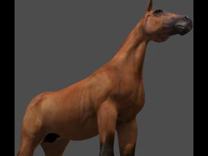 collezione di cavalli definitiva Modello 3D