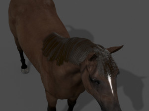 ultimate horse collection Modello 3D