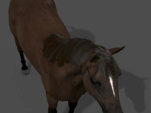 collezione di cavalli definitiva Modello 3D