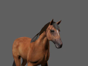 collezione di cavalli definitiva Modello 3D