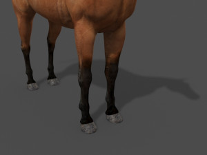 ultimate horse collection Modello 3D