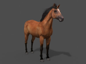 ultimate horse collection Modello 3D