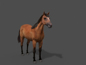 ultimate horse collection Modello 3D