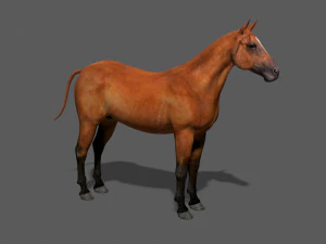 collezione di cavalli definitiva Modello 3D