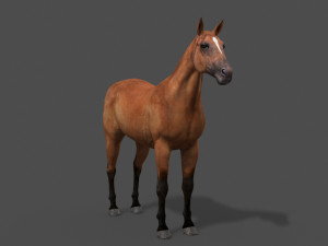 ultimate horse collection Modello 3D