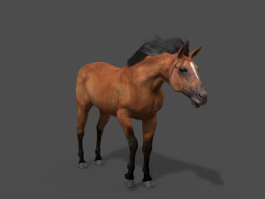 ultimate horse collection Modello 3D