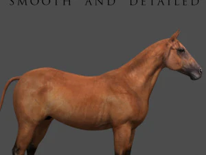 collezione di cavalli definitiva Modello 3D