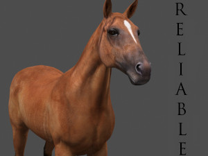 ultimate horse collection Modello 3D