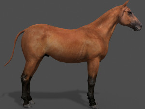 ultimate horse collection Modello 3D