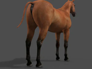 collezione di cavalli definitiva Modello 3D