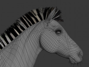 photoreal hd zebra 3D Модель