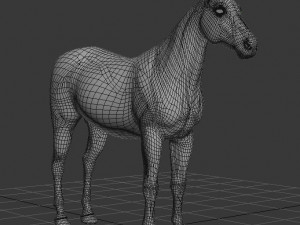 photoreal hd zebra 3D Модель