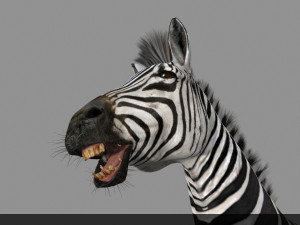photoreal hd zebra 3D Модель