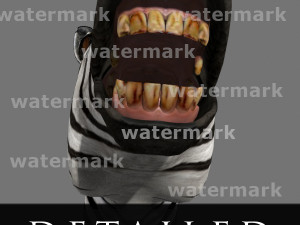 photoreal hd zebra 3D Модель