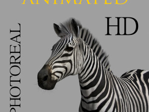 photoreal hd zebra 3D Модель