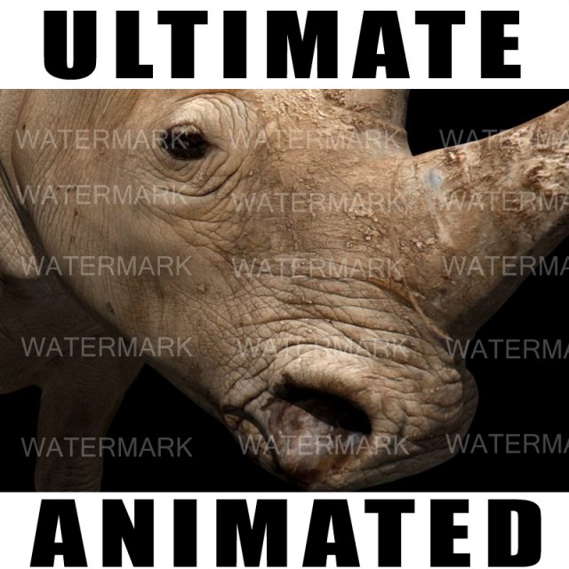 the ultimate rhino 3D Model .c4d .max .obj .3ds .fbx .stl .blend 