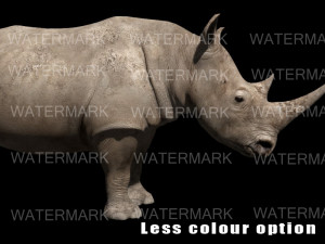 the ultimate rhino 3D Model