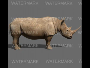 il rinoceronte definitivo Modello 3D