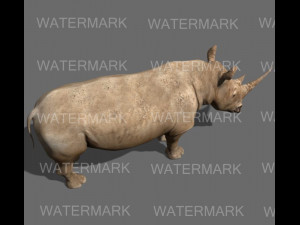 the ultimate rhino 3D Model