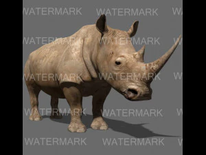 il rinoceronte definitivo Modello 3D