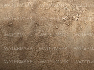 the ultimate rhino 3D Model
