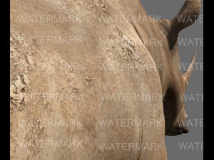 the ultimate rhino 3D Model
