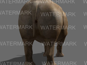 the ultimate rhino 3D Model
