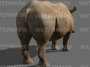 il rinoceronte definitivo Modello 3D