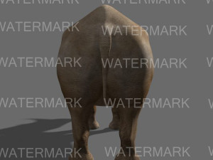the ultimate rhino 3D Model